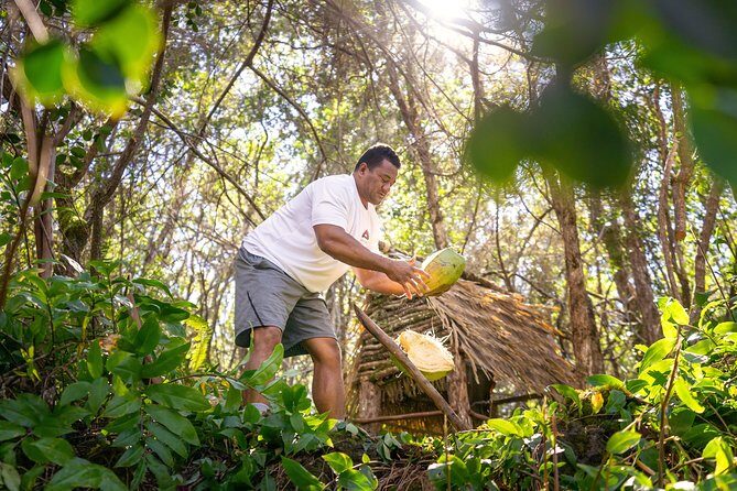 Polynesian Cultural ATV Tour - What You’ll Love About This Tour