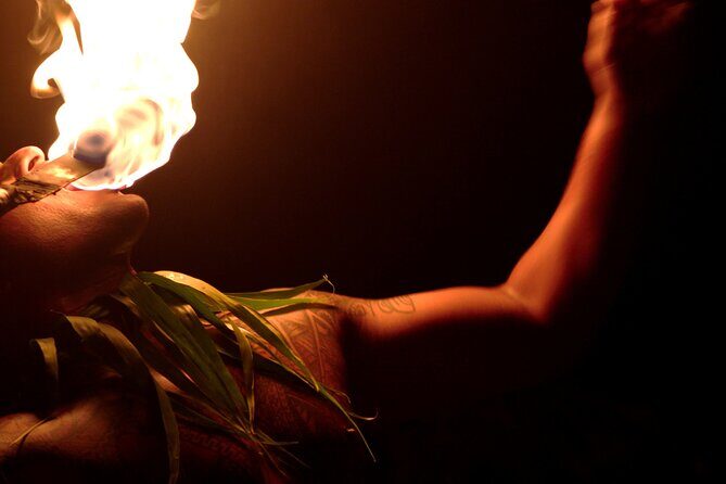Polynesian Show and Dining experience with Transfer - The Sum Up: A Cultural Night Out Worth Considering