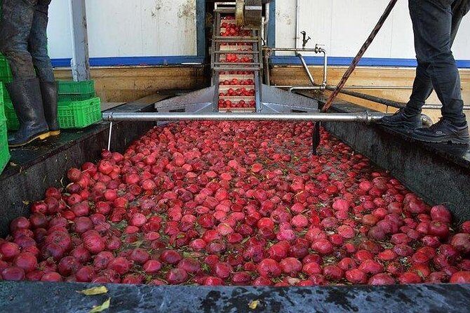 Pomegranate Wine Tour with Local Lunch - Logistics and Practicalities
