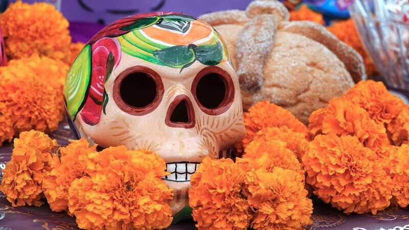 Pomuchs Legacy: A Day of the Dead Cultural Immersion - The Practicalities: What You Need to Know