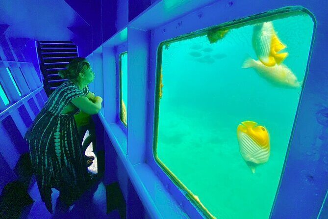 Ponton Day Trip SWIM with fishs All meals included & Transport - What the Tour Offers and Why It Matters