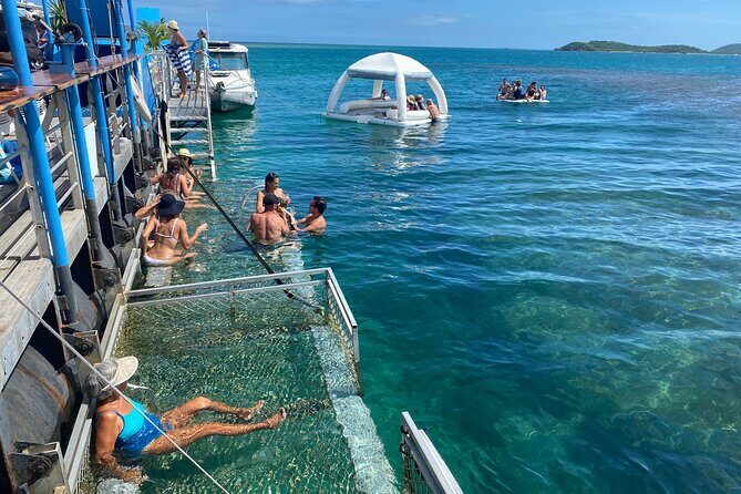 Ponton Day Trip SWIM with fishs All meals included & Transport - The Itinerary in Detail