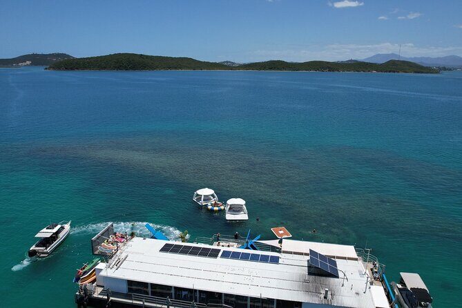 Ponton Day Trip SWIM with fishs All meals included & Transport - Who Will Love This Tour?