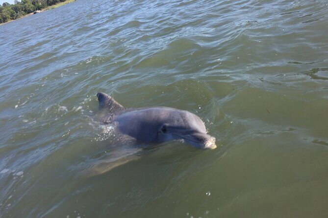 Pontoon Boat Rental in Hilton Head Island - Is This Experience Right for You?