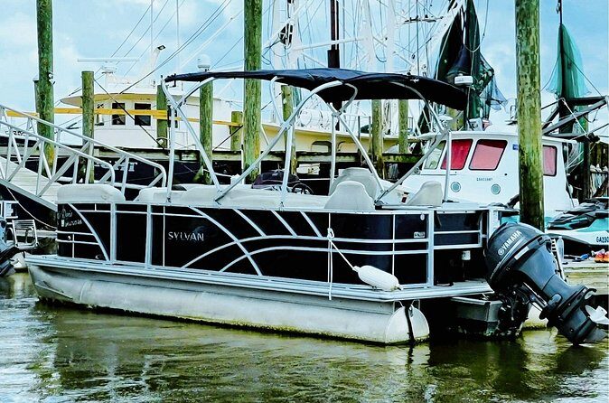 Pontoon Boat Rental Tybee Island - The Sum Up