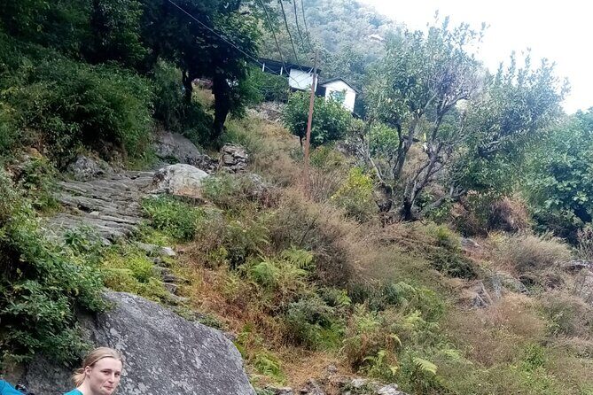 Poon Hill 6 Days Trek from Kathmandu - What the Reviews Say