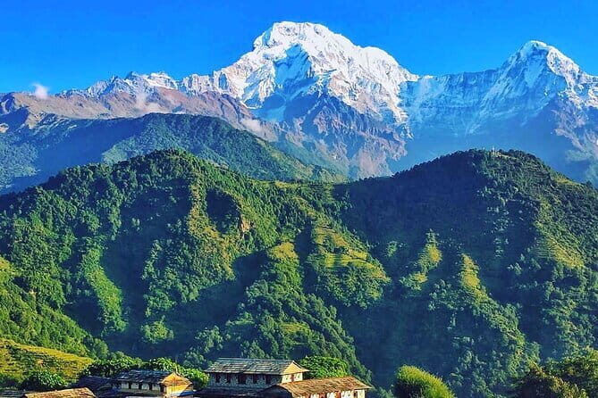 Poon Hill Ghandruk Circuit Trek from Pokhara 4 Days - The Sum Up