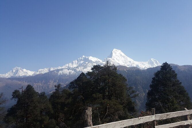 Poon hill Trek 3 days - FAQs about the Poon Hill Trek 3 Days