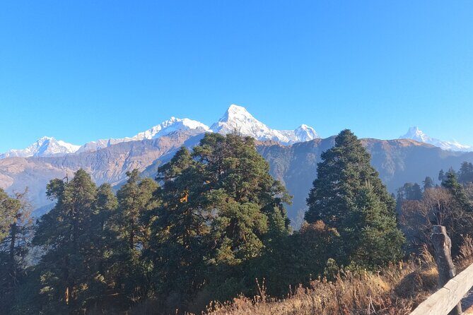Poon Hill Trek - Why This Trek Is Worth It