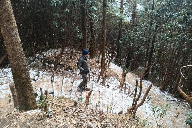 Poon Hill Trek from Pokhara 4 Days - Final Thoughts: Who Should Consider This Tour?