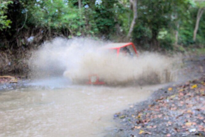Pop Buggy Excursion from Amber Cove and Taino Bay Puerto Plata - Who Should Consider This Tour?