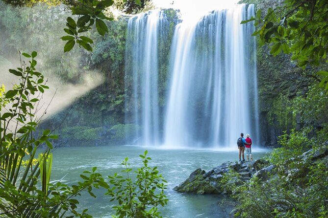 **Popular Cruiseship Tour** - Total Kiwi Experience! - The Kiwi Centre & Wildlife Encounters