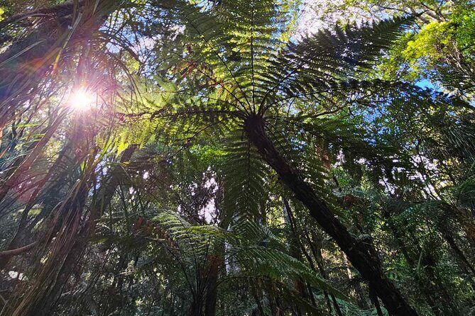 *Popular Tour* - Bay of Islands: Nature Adventure - 4hrs - Introduction