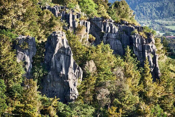 *Popular Tour* - Bay of Islands: Nature Adventure - 4hrs - Key Points