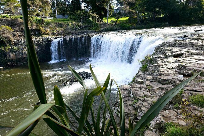 *Popular Tour* - Bay of Islands: Nature Adventure - 4hrs - Final Thoughts: Is This Tour Right for You?