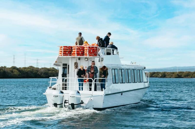 Port Adelaide: Dolphin and Ships Graveyard Cruise - Final Thoughts