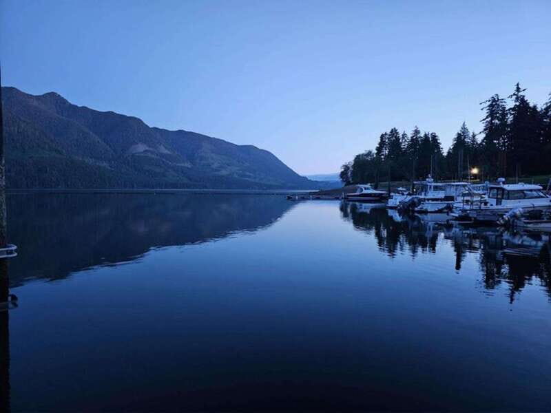 Port Alice: Sea Otter and Wildlife Tour - 6 hour with lunch - Why This Tour Offers Value