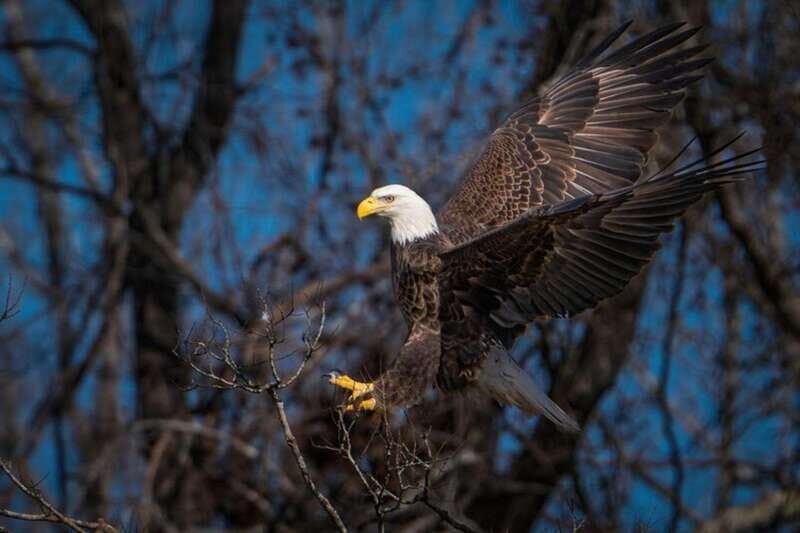 Port Alice: Sea Otter and Wildlife Watching Boat Tour - Pricing and Value