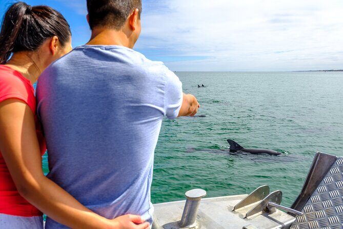 Port and Dolphin Cruise Bunbury Tour - Price and Value: Is it Worth It?