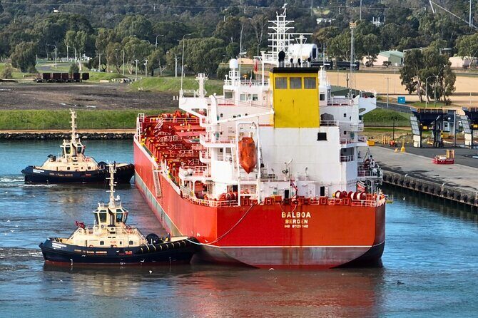 Port and Dolphin Cruise Bunbury Tour - The Experience in Detail