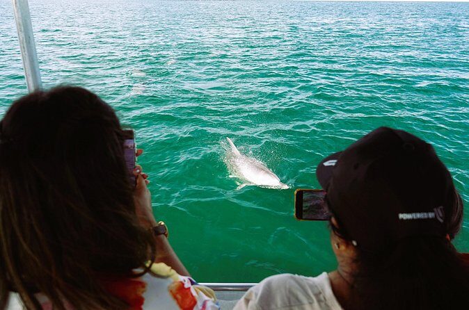 Port and Dolphin Cruise Bunbury Tour - Who Should Consider This Tour?