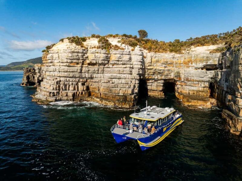Port Arthur: Cape Raoul Wilderness Cruise - The Experience and Its Value