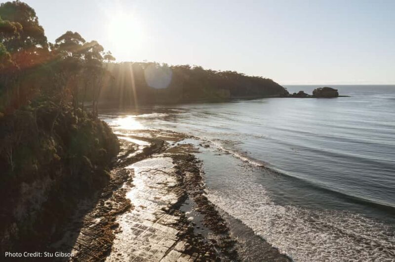 Port Arthur: Historic Site & Peninsula (8hr Private Tour) - Key Points