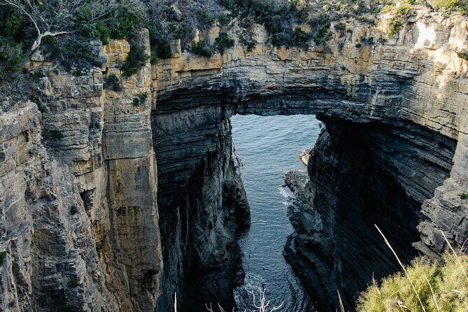 Port Arthur, Richmond and Tassie Devils Active Tour from Hobart - Key Points