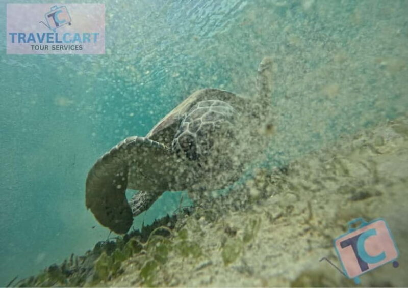PORT BARTON: Full-day Shared Island Hopping Tour A - The Experience: Pros and Cons