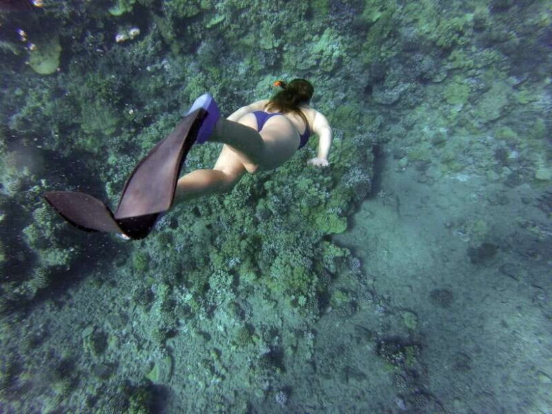 Port Barton: Island Hopping to Turtle Spot & Reef with Lunch - An In-Depth Look at the Tour Experience