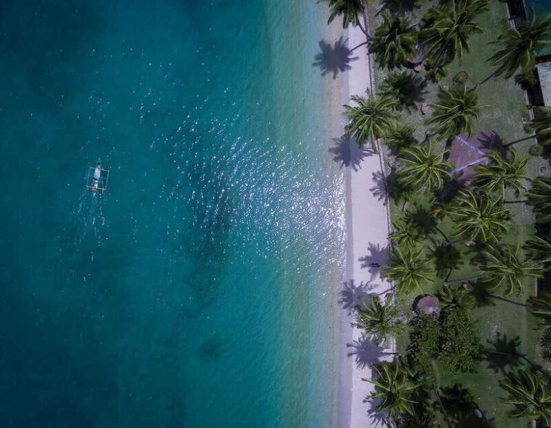 Port Barton: Island Hopping to Turtle Spot & Reef with Lunch - Practical Tips for a Smooth Experience