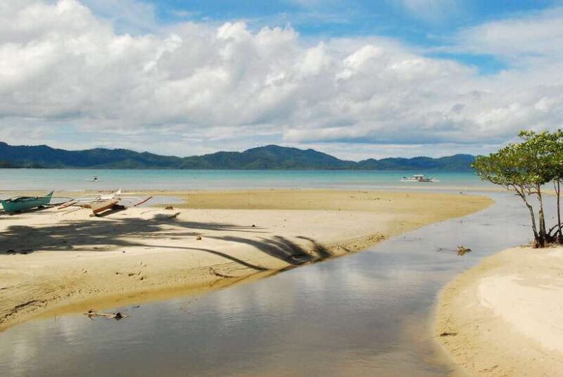 Port Barton: Island Hopping to Turtle Spot & Reef with Lunch - Final Thoughts