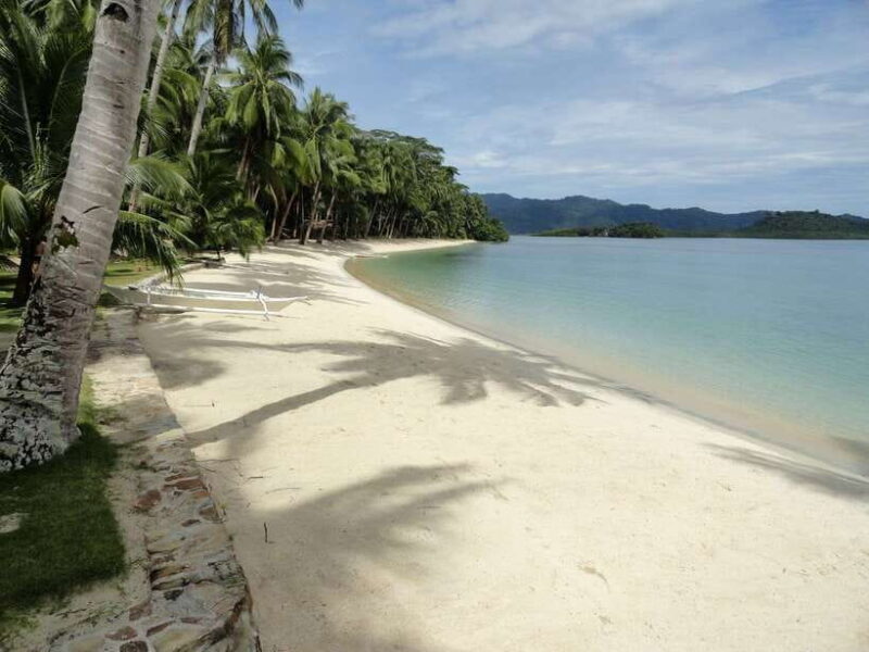 Port Barton: Island Hopping to Turtle Spot & Reef with Lunch - Final Words