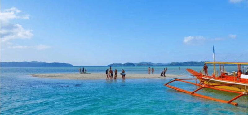 Port Barton: Island Hopping to Turtle Spot & Reef with Lunch - Key Points