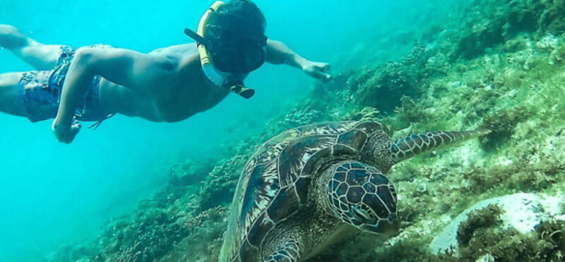 Port Barton: Island Hopping to Turtle Spot & Reef with Lunch - The Details That Matter: Practical Tips