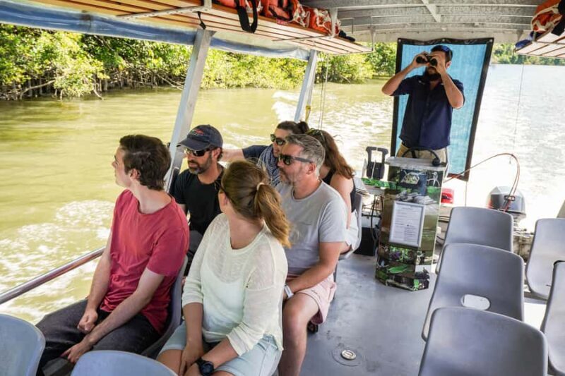Port Douglas: Afternoon Daintree Tour w/ Wildlife Cruise - Key Points