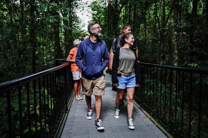 Port Douglas: Afternoon Daintree Tour w/ Wildlife Cruise - A Quick Overview of the Tour Experience