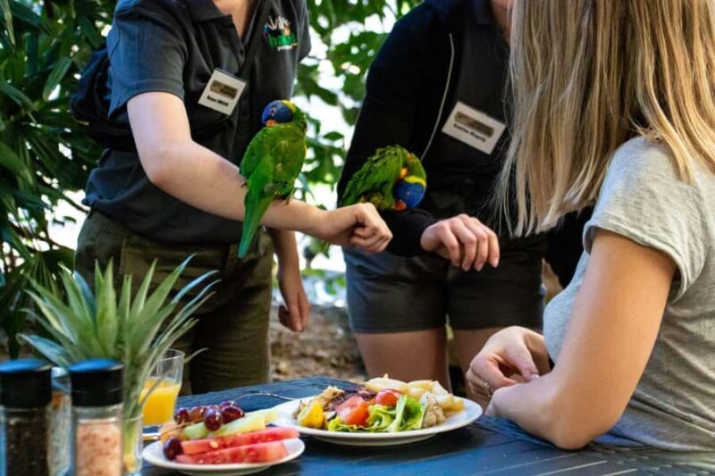 Port Douglas: Breakfast with the Birds - What Is the “Breakfast with the Birds” Experience?