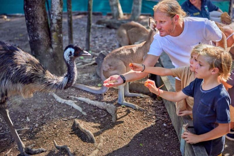 Port Douglas: Breakfast with the Birds - The Quality of the Food