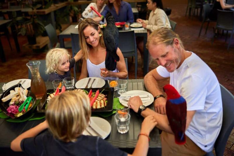 Port Douglas: Breakfast with the Birds - Accessibility and Practical Tips