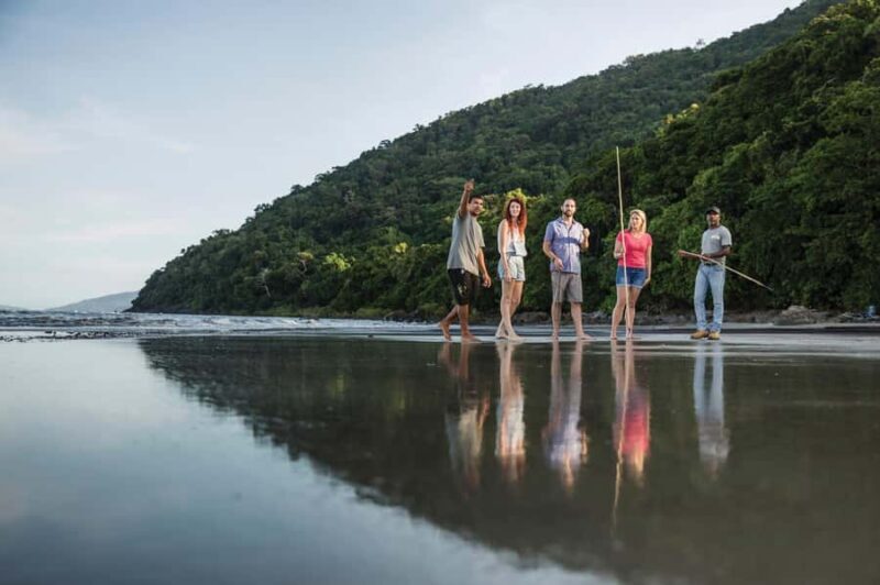 Port Douglas: Daintree Cultural Tour with Hotel Pickup - Key Points