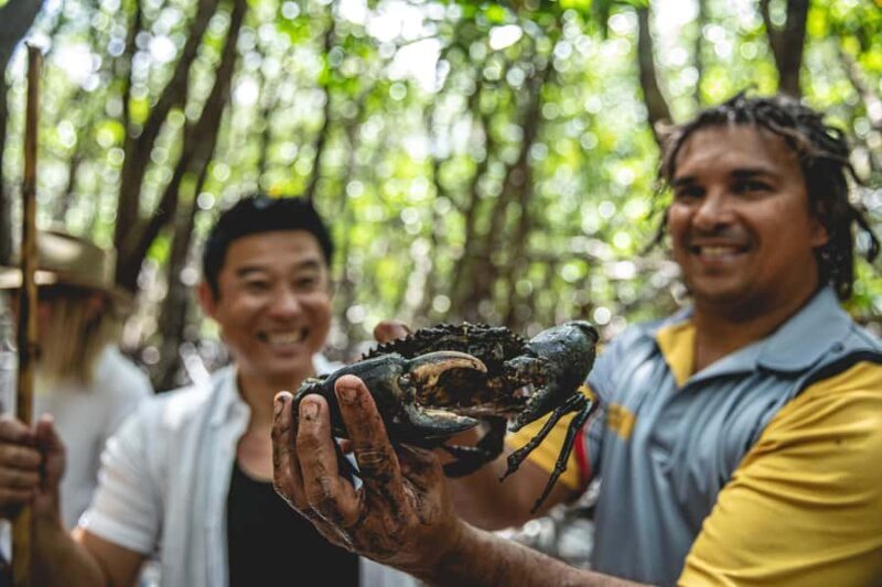 Port Douglas: Daintree Cultural Tour with Hotel Pickup - A Close Look at the Daintree Cultural Tour