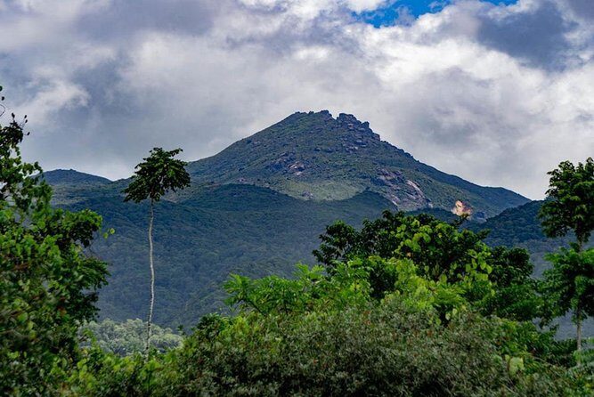 Port Douglas Daintree National Park Boutique Full-Day Tour - What to Expect from the Daintree Full-Day Tour