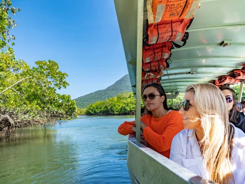 Port Douglas: Daintree National Park Tour, Cruise, & Zipline - An Excellent Introduction to Daintree’s Wonders