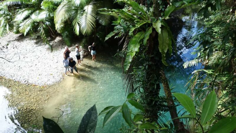 Port Douglas: Daintree Rainforest and Cape Tribulation Tour - Introduction