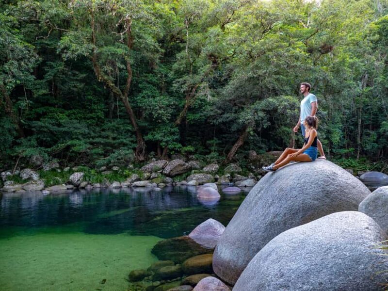Port Douglas: Daintree Rainforest and Cape Tribulation Tour - Transportation, Group Size, and Overall Value