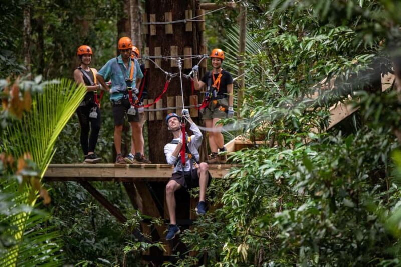 Port Douglas: Daintree Rainforest Canopy Ziplining Tour - Key Points