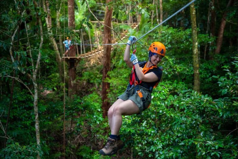 Port Douglas: Daintree Rainforest Canopy Ziplining Tour - An In-Depth Look at the Daintree Rainforest Ziplining Experience