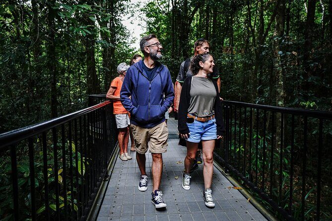 Port Douglas & Daintree Tour for Cruise Ship Passenger - Key Points