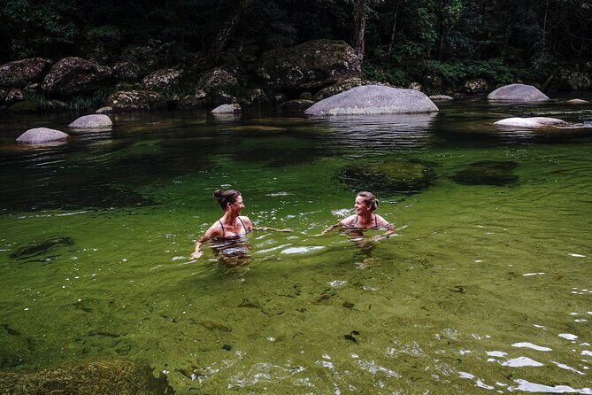 Port Douglas & Daintree Tour for Cruise Ship Passenger - An Overview of the Experience